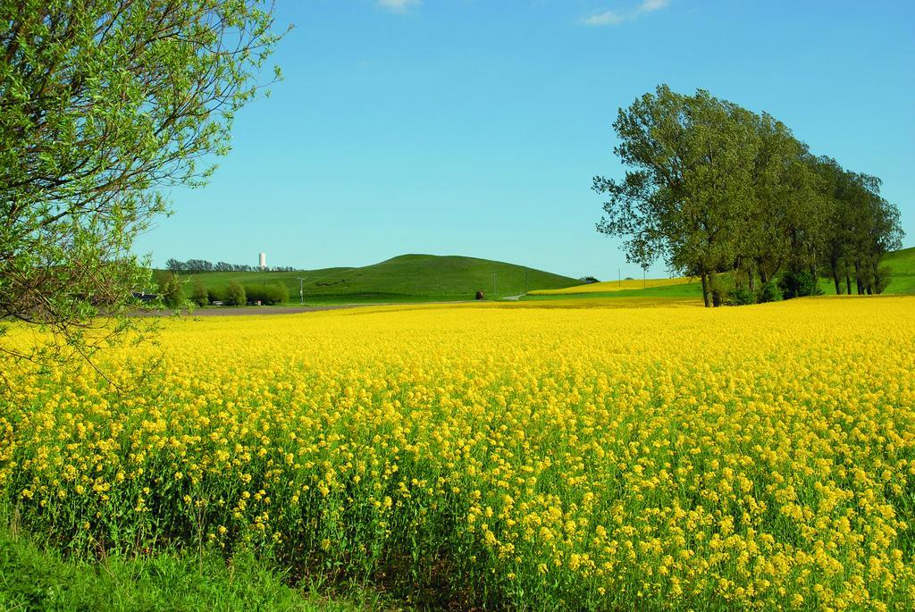 Vallebergaslaett Löderup 외부 사진