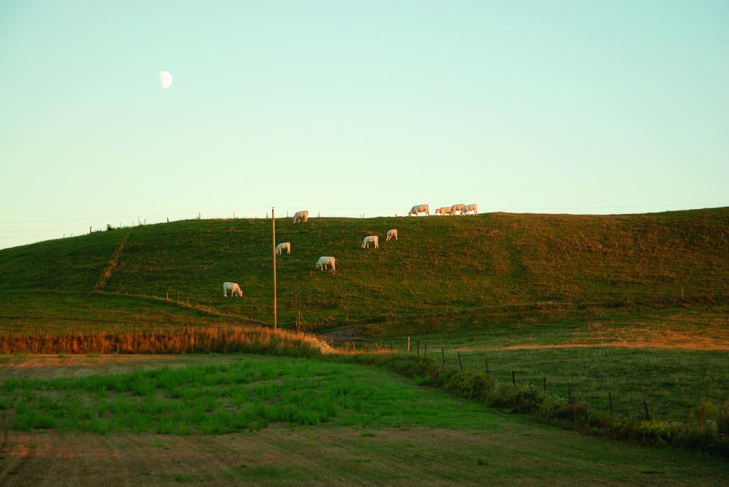 Vallebergaslaett Löderup 외부 사진